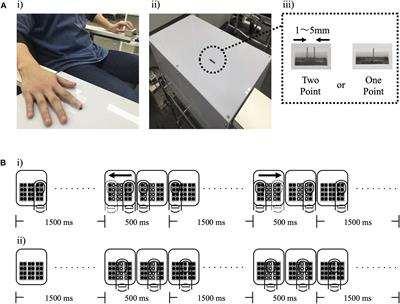 The Repetitive Mechanical Tactile Stimulus Intervention Effects Depend on Input Methods